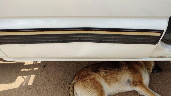 2001 02 Silverado 2500 Hd Passenger Right Rear Moulding From Door Oem Back Trim — photo 2