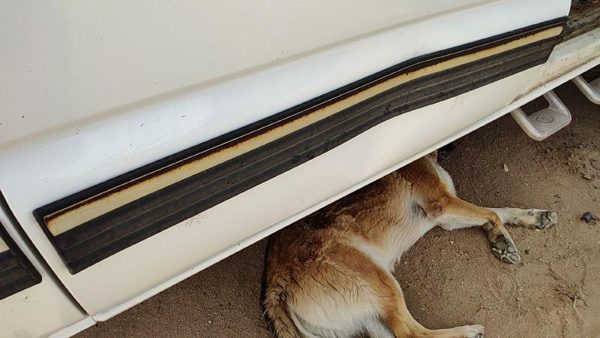 2001 02 Silverado 2500 Hd Passenger Right Rear Moulding From Door Oem Back Trim — photo 9