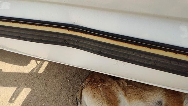2001 02 Silverado 2500 Hd Passenger Right Rear Moulding From Door Oem Back Trim — photo 5