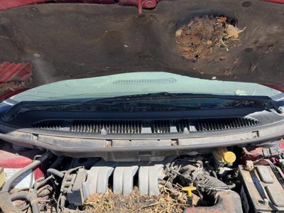 1996 Chrysler Town & Country Windshield Wiper Cowl Vent Trim Panel Oem Cover