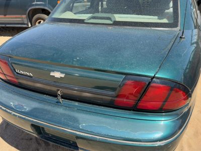 1999 Chevrolet Lumina Trunk/decklid/hatch/tailgate Jasper Green 56U