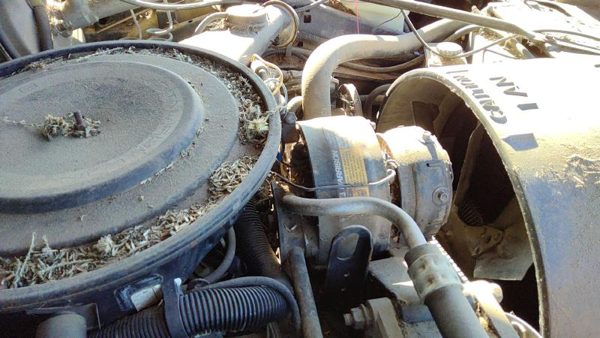 1980-1984 Deville Sedan Ac Compressor Air Conditioner Pump Assembly Oem 4.1l — photo 4