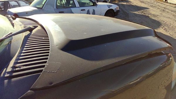 2008 Ford Expedition Hood Ua Black Hail — photo 3