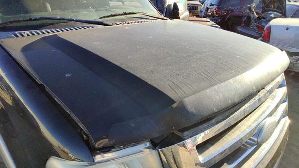 2008 Ford Expedition Hood Ua Black Hail — photo 2