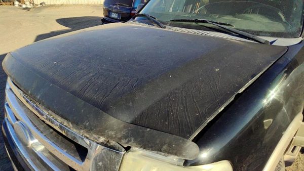 2008 Ford Expedition Hood Ua Black Hail — photo 1
