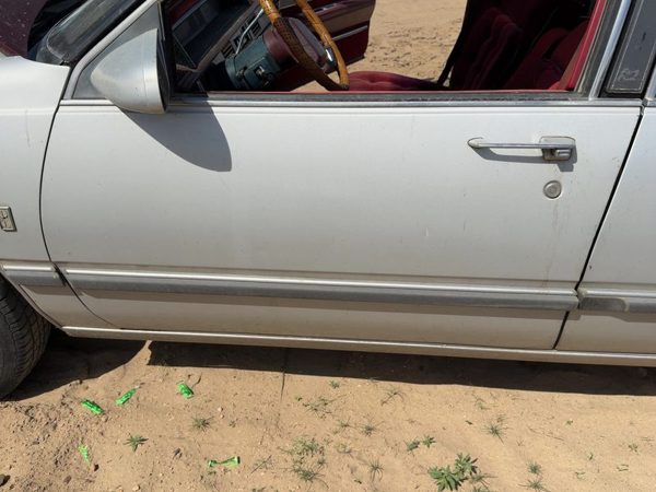 1986 Oldsmobile Delta 88 Front Door LH Silver — photo 2