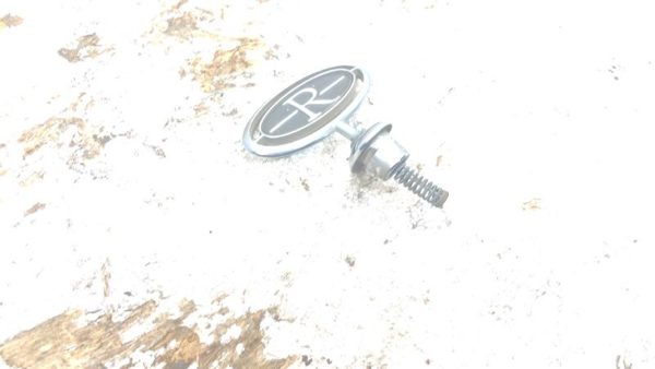 86 87 88 89 86 87 88 89 Buick Riveria Hood Emblem Oem 25522853 Ornament Badge — photo 2