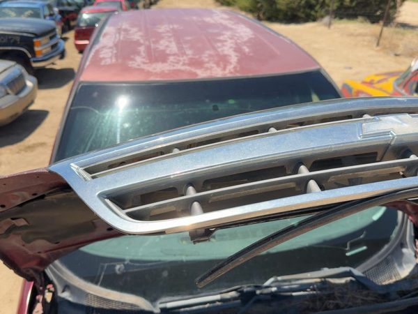 2001-2005 Chevy Venture Front Grille Assembly Oem 10310159 — photo 3