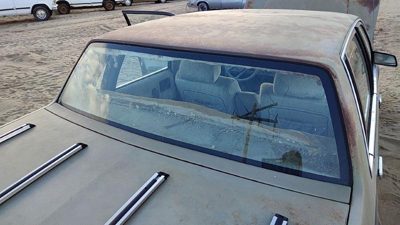 1982-1988 Pontiac 6000 Back Glass Rear Window Oem 10066825