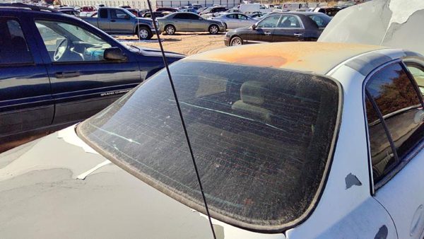1998 Buick Century Back Glass/window Glass Rear Window OEM 10404902 — photo 5