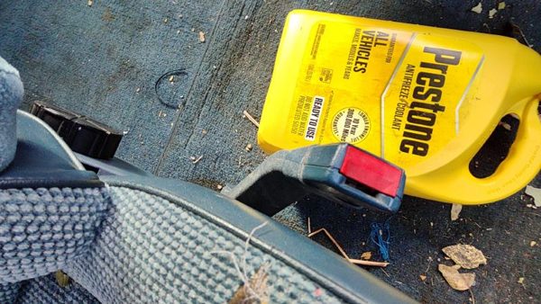 1985-1994 Gmc Safari Passenger Right Front Seat Belt Buckle Receiver Oem Blue — photo 1