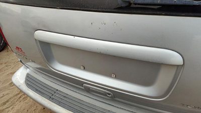 2000 Chrysler Town & Country License Plate Trim Surround Panel Tail Trunk Finish
