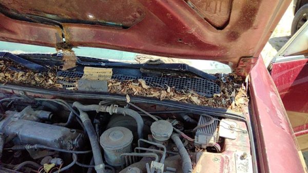 94-97 Honda Accord Driver Left Windshield Wiper Arm Oem Blade Lever 76600Sv4a01 — photo 2