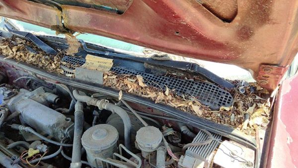 94-97 Honda Accord Driver Left Windshield Wiper Arm Oem Blade Lever 76600Sv4a01 — photo 1