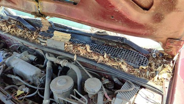 94-97 Honda Accord Driver Left Windshield Wiper Arm Oem Blade Lever 76600Sv4a01 — photo 4
