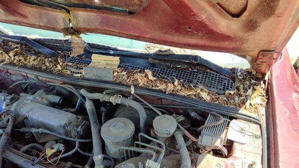 94-97 Honda Accord Driver Left Windshield Wiper Arm Oem Blade Lever 76600Sv4a01 — photo 3