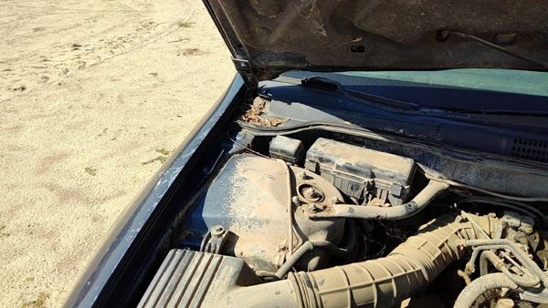 1998-2002 Honda Accord Passenger Right Hood Hinge Assembly Oem Gray — photo 3