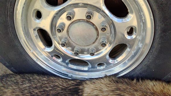 1999-2010 Silverado 2500 Hd 16 Aluminum Wheel Oem Factory Rim #1 12368964 — photo 7