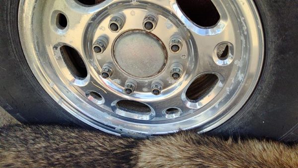 1999-2010 Silverado 2500 Hd 16 Aluminum Wheel Oem Factory Rim #1 12368964 — photo 8