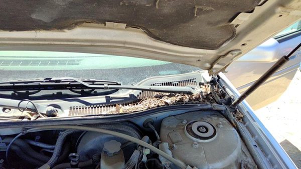 2004-2005 Pontiac Grand Prix Driver Left Windshield Wiper Arm Oem Blade Lever — photo 3