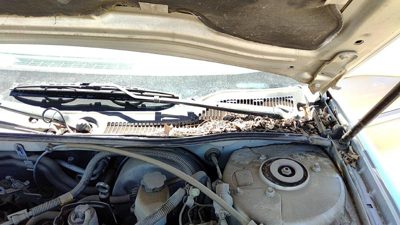 2004-2005 Pontiac Grand Prix Driver Left Windshield Wiper Arm Oem Blade Lever