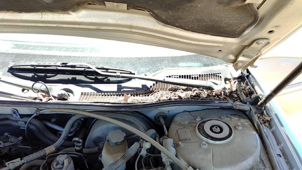 2004-2005 Pontiac Grand Prix Driver Left Windshield Wiper Arm Oem Blade Lever — photo 1