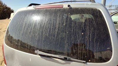 1997-2005 Chevy Venture Back Glass Rear Window Oem 10236064