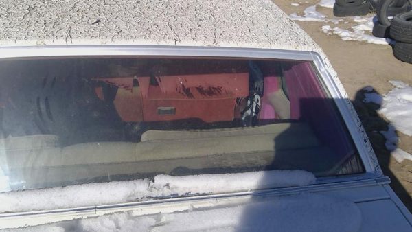78-80 Buick Regal Chrome Trim Surrounding Back Glass Rear Window Oem Moulding — photo 5