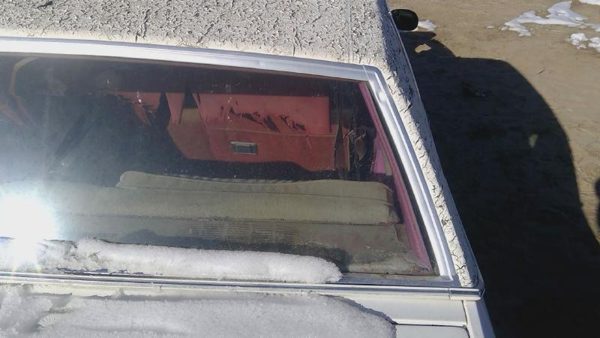78-80 Buick Regal Chrome Trim Surrounding Back Glass Rear Window Oem Moulding — photo 6