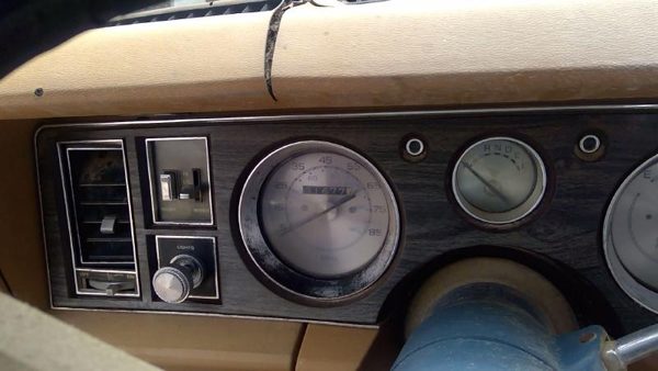 1978 Buick Lesabre Woodgrain Trim Bezel Around Speedometer Surround Panel Dash — photo 3