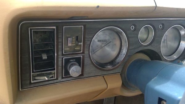 1978 Buick Lesabre Woodgrain Trim Bezel Around Speedometer Surround Panel Dash — photo 2