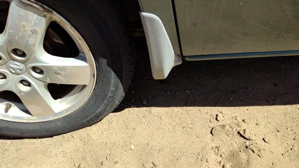 03-07 Dodge Caravan Driver Left Moulding From Fender Oem Trim Strip — photo 1