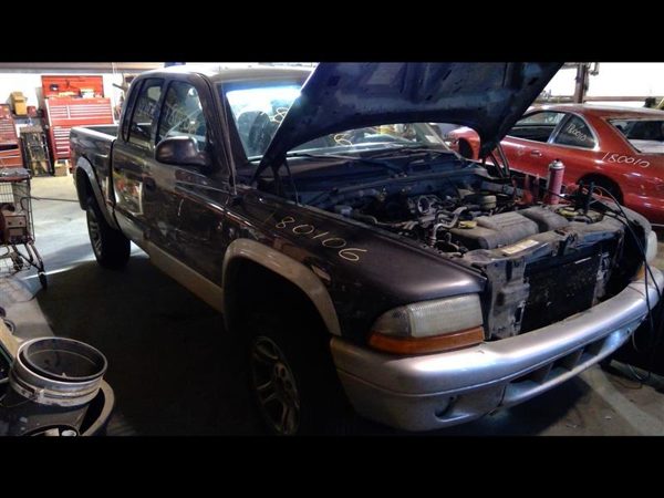 2004 Dodge Dakota — vehicle photo 3