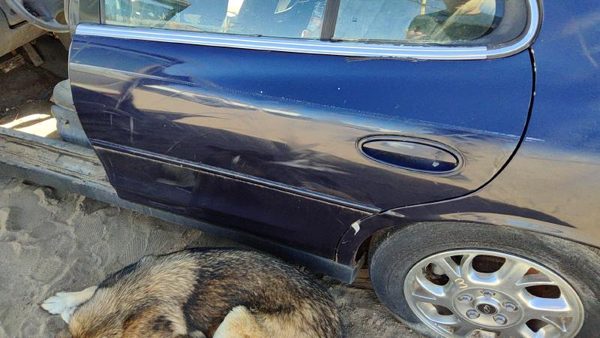 2000 Oldsmobile Intrigue Rear Door LH Blue 28U — photo 5