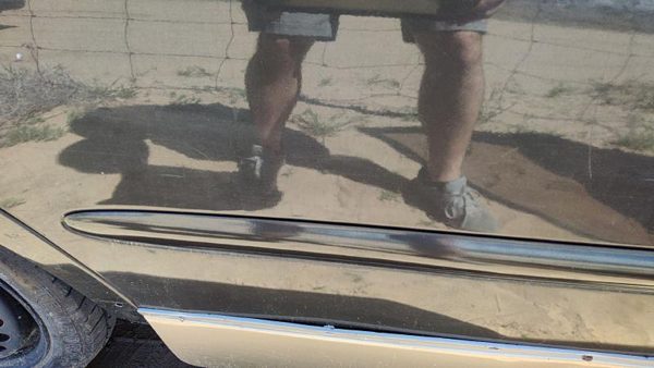 97-04 Buick Regal Passenger Right Rear Upper Moulding From Door Oem Back Black — photo 2