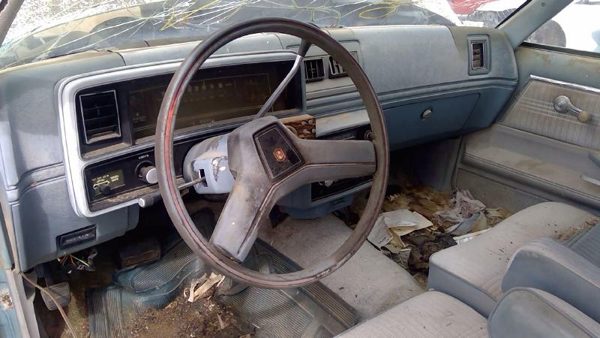 1979 Chevy Malibu — vehicle photo 3