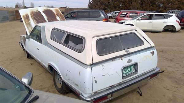 1979 Chevy Malibu — vehicle photo 5