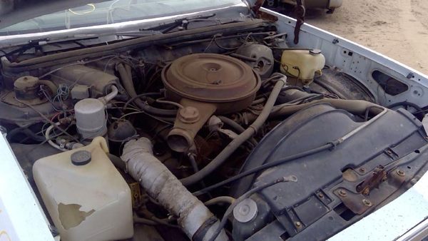 1979 Chevy Malibu — vehicle photo 8