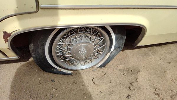 1977-1984 Cadillac Deville Driver Left Rear Wheel Flare Moulding Oem Chrome Trim — photo 2