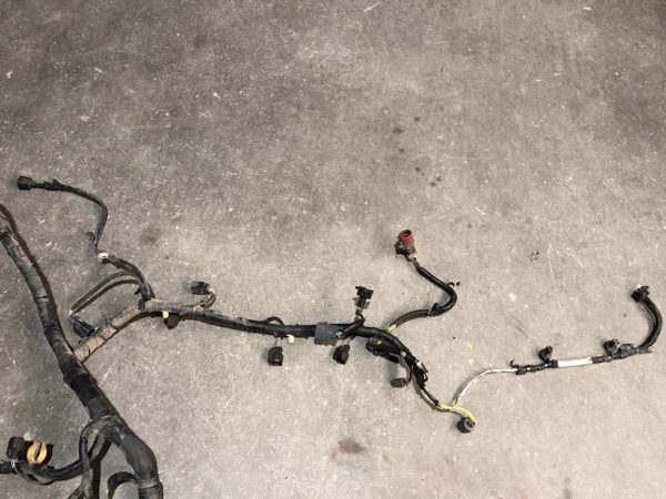 2006 Mercury Mountaineer Wire Harness (engine) Wiring For Engine OEM 4.0L AT — photo 3