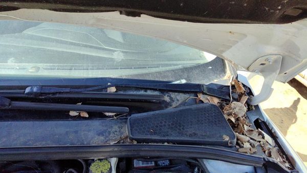 2012-2018 Ford Focus Driver Left Windshield Wiper Arm Oem Blade Lever Cp9Z17527A — photo 1
