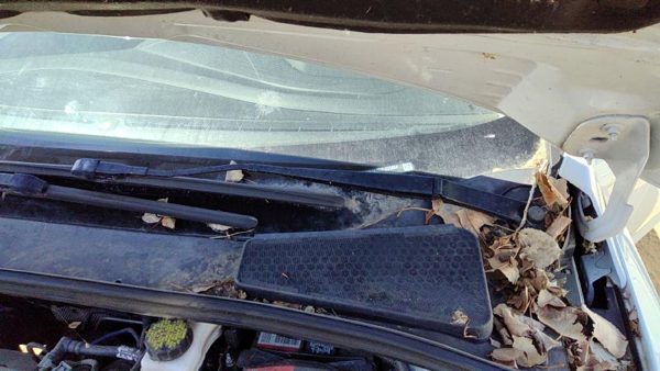 2012-2018 Ford Focus Driver Left Windshield Wiper Arm Oem Blade Lever Cp9Z17527A — photo 3