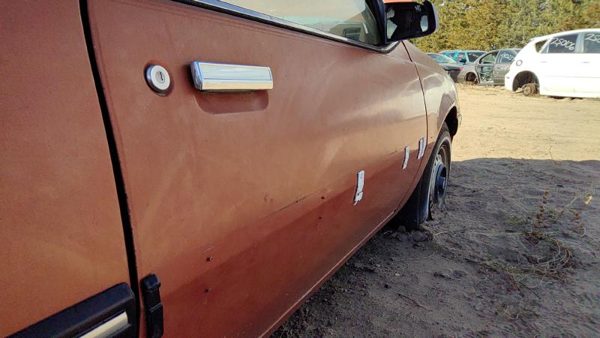1985 Pontiac Sunbird Front Door RH 2DR Man Wnd Brown 20717780 — photo 3