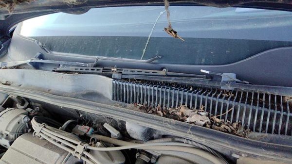 1988-1991 Olds Cutlass Cierra Windshield Wiper Cowl Vent Trim Panel Oem Cover — photo 4