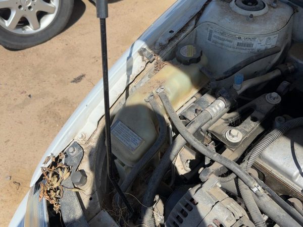99-01 Chevy Cavalier Coolant Reservoir Radiator Overflow Tank Bottle Oem 2.2L — photo 1
