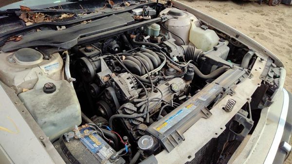 1994 Buick Park Avenue — vehicle photo 8