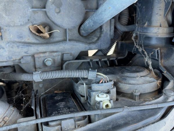 2002 Vw Jetta Wiring Pigtail For Left Headlight — photo 4