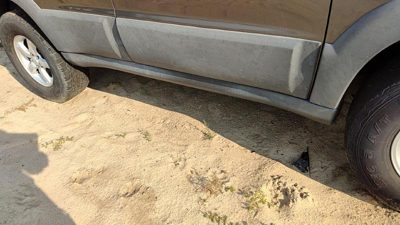 2005-2006 Mazda Tribute Passenger Right Lower Rocker Panel Moulding Side Skirt