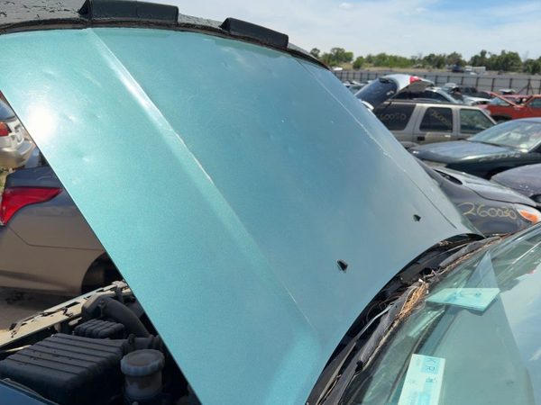 1995 Isuzu Rodeo Hood Green 732 — photo 2