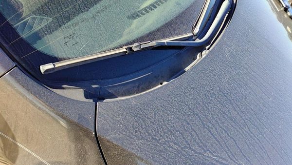 2010-2013 Mazda 3 Windshield Wiper Cowl Vent Trim Panel Oem Cover — photo 3